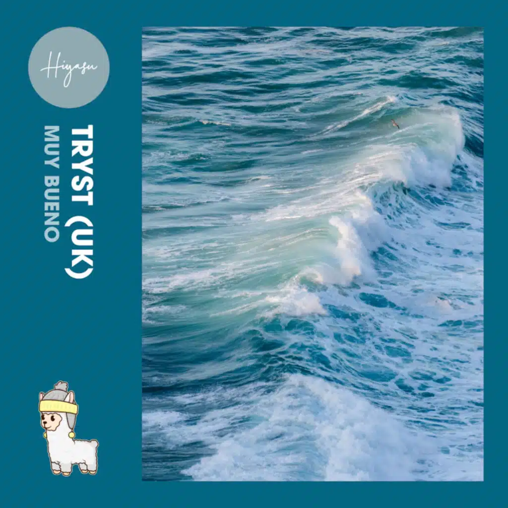 Tryst (UK) & Hiyasu Cuts