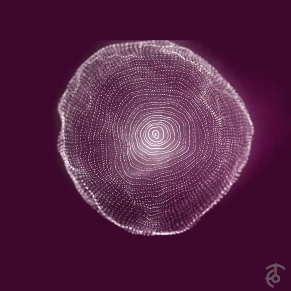 Stan Kolev & Aaron Suiss