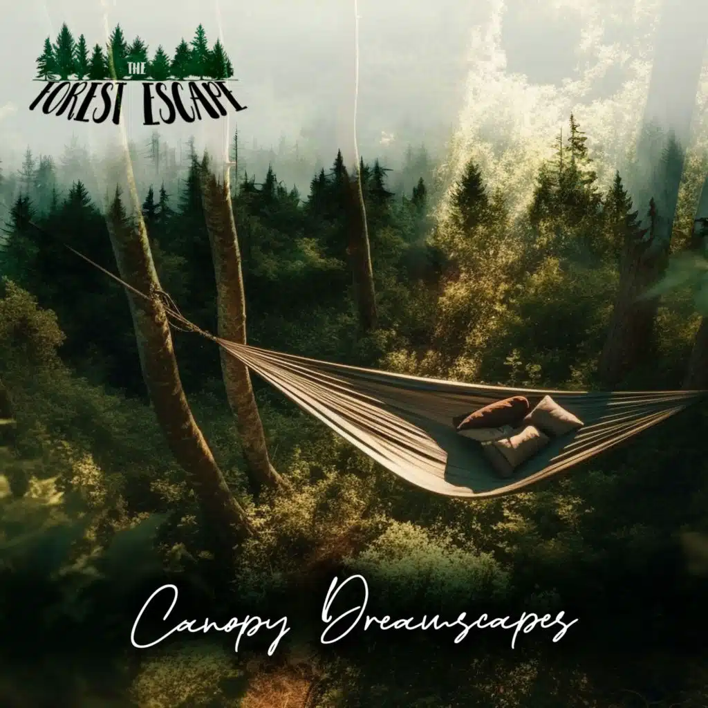Canopy Dreamscapes