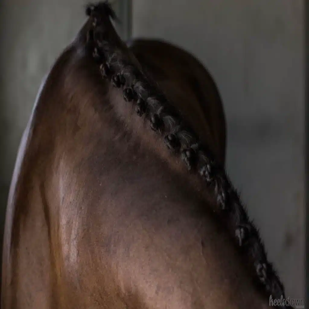 To Braid Or Not To Braid