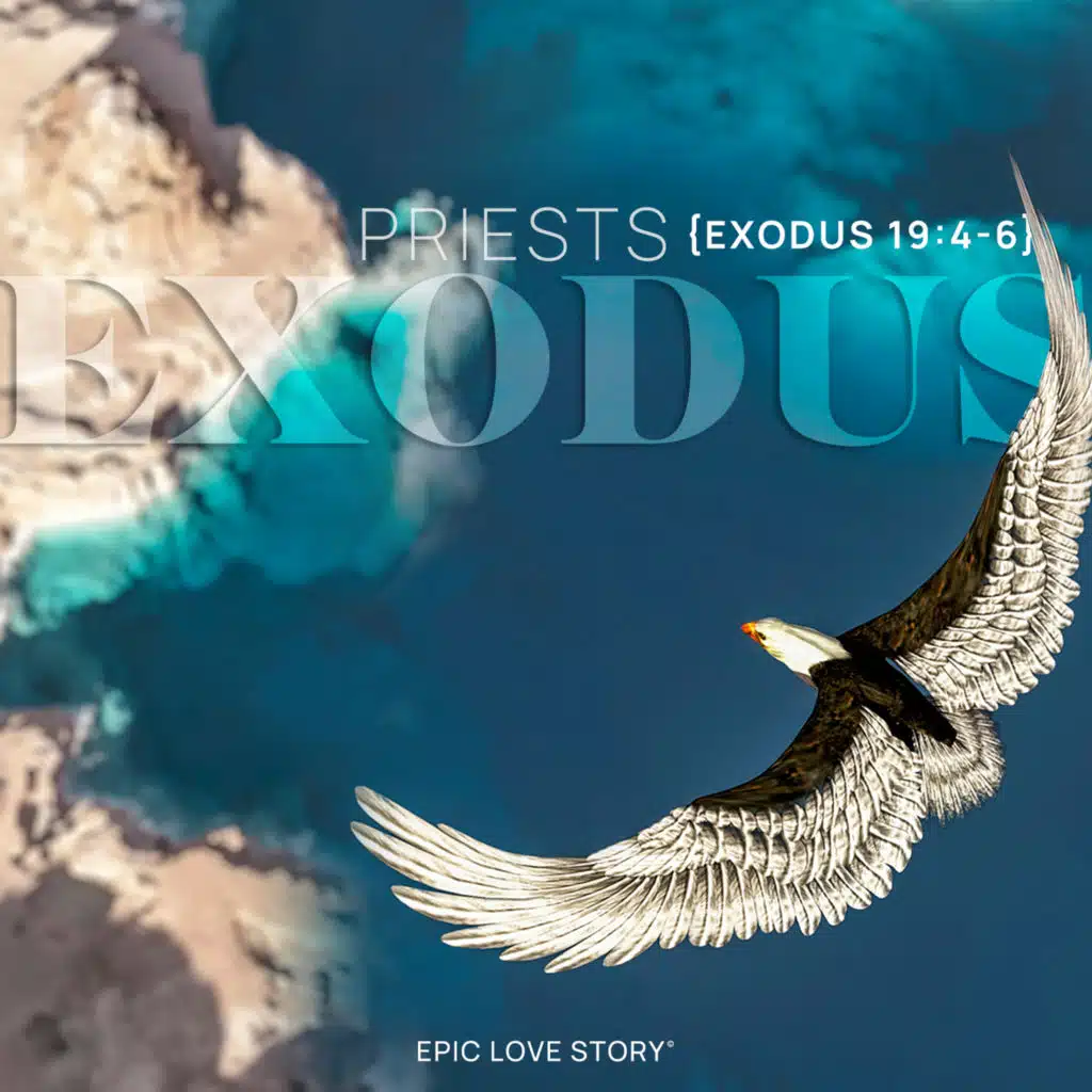 Priests (Exodus 19:4-6)