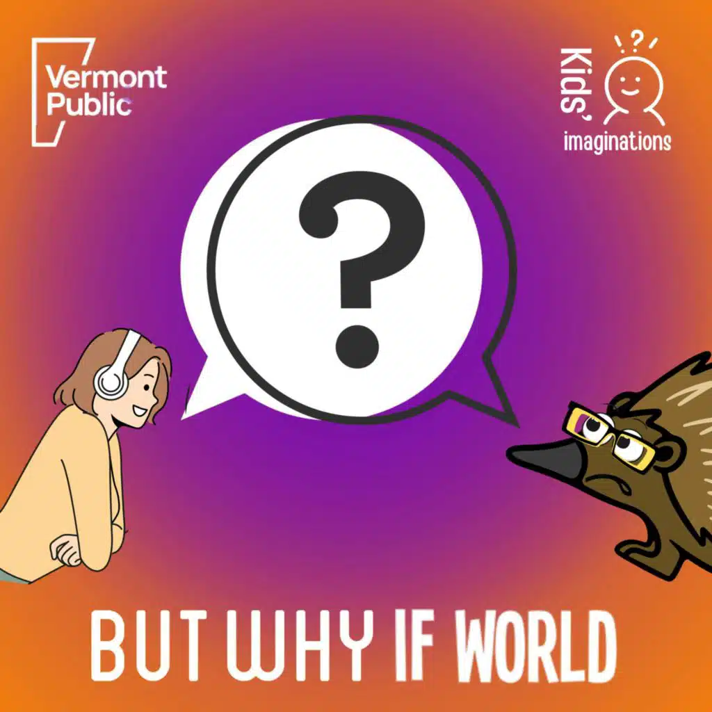 306. But Why If World (with Jane Lindholm)