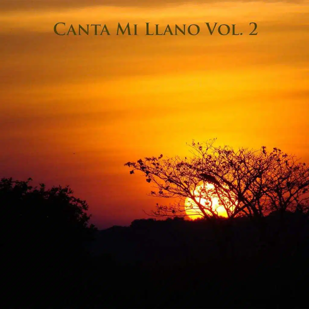 Canta Mi Llano Vol 2