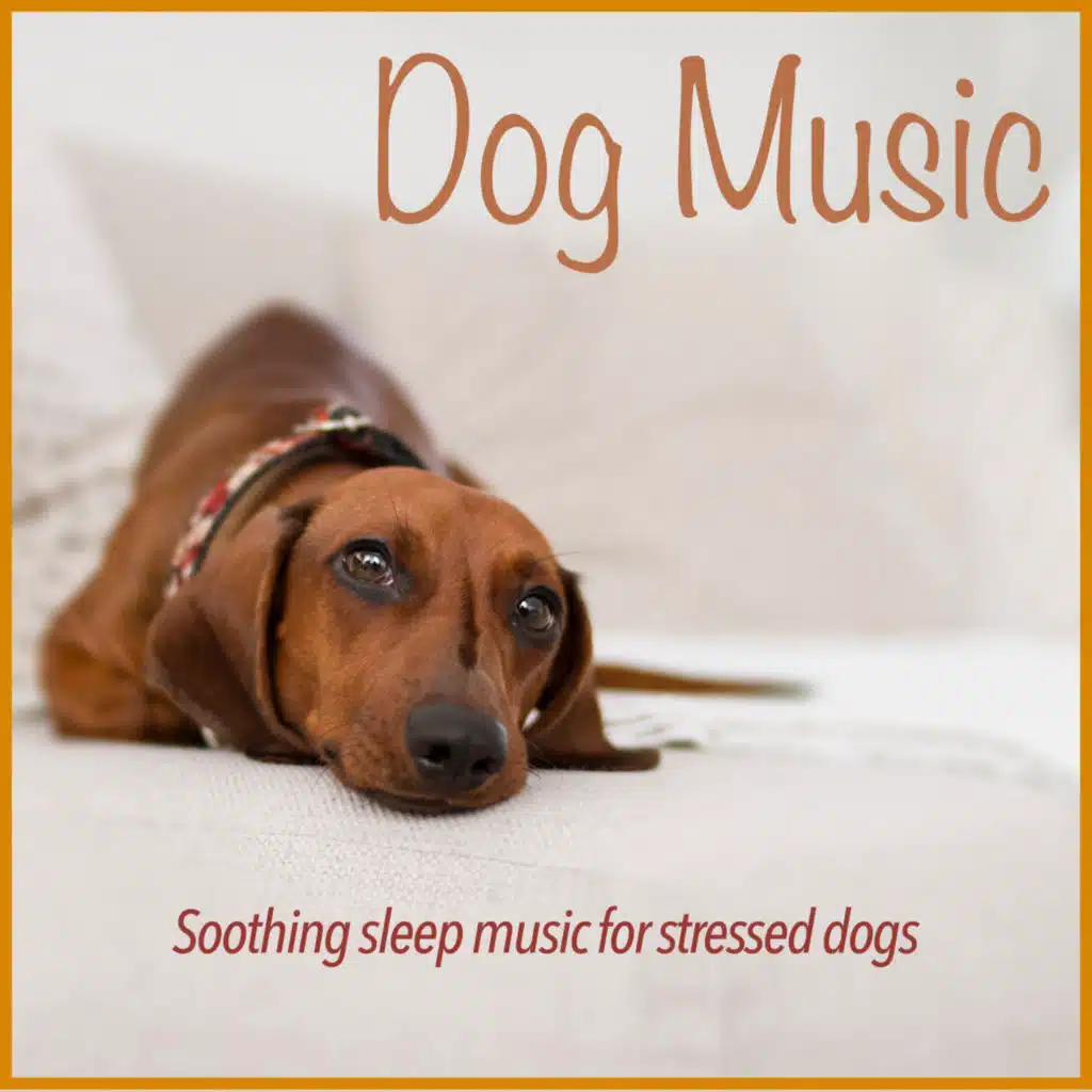Dog Music: Soothing Sleep Music for Stressed Dogs