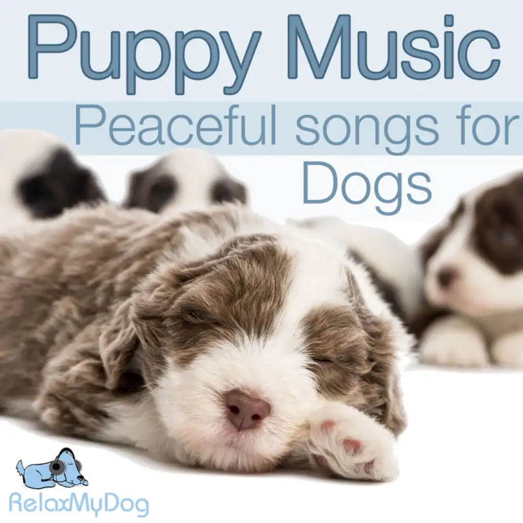 Puppy Music - Peaceful Songs for Dogs