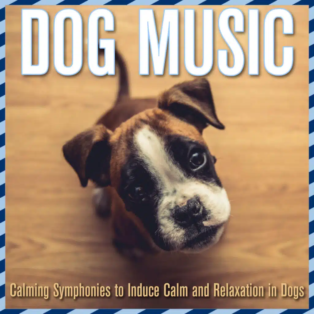 Dog Music Dreams & RelaxMyDog