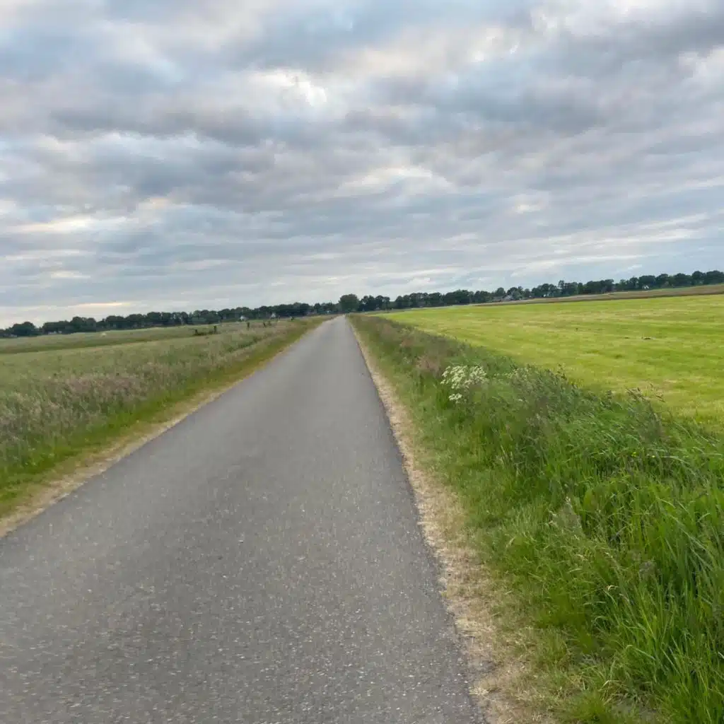 zoektocht