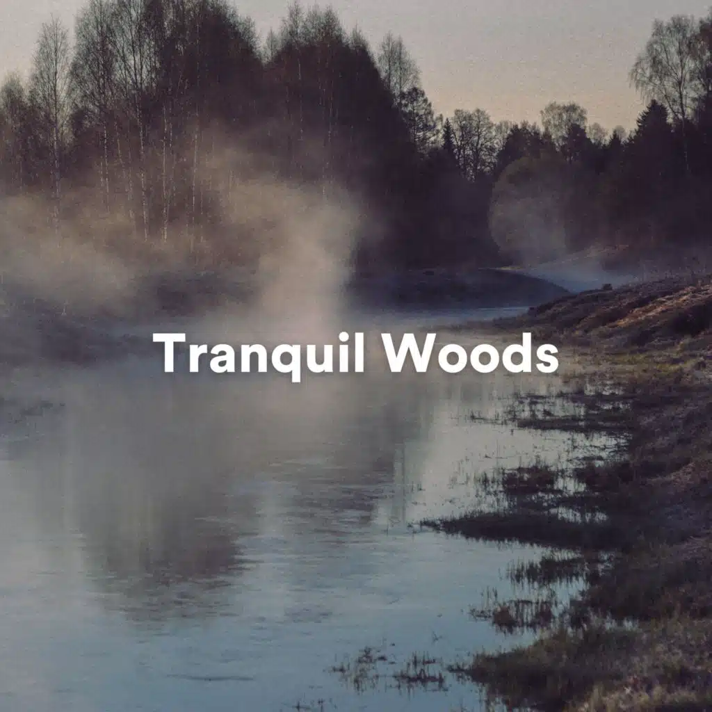 Background Sound Effects Meditation Spa, Japanese Relaxation And Meditation & Shakuhachi Sakano