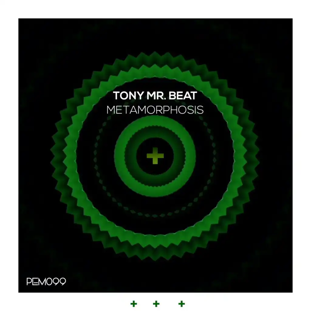 Tony Mr. Beat