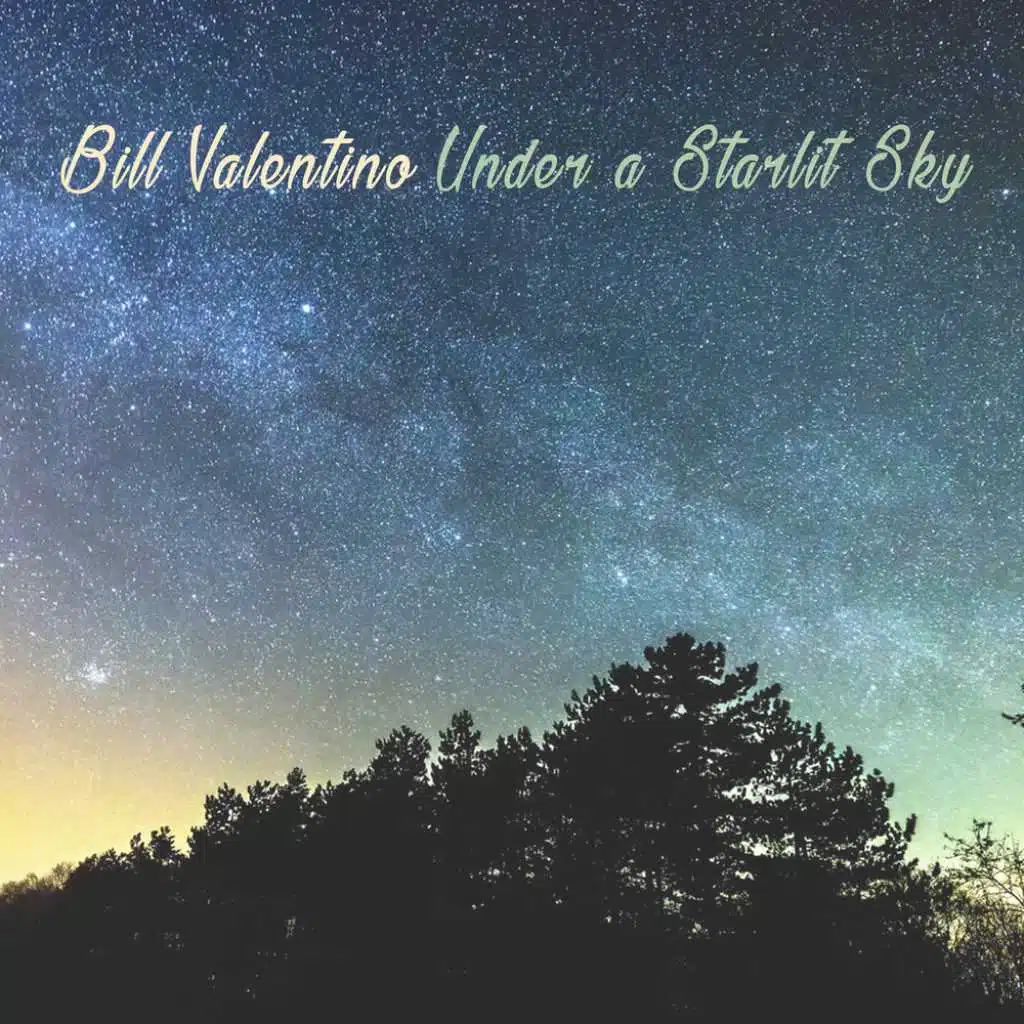 Under a Starlit Sky