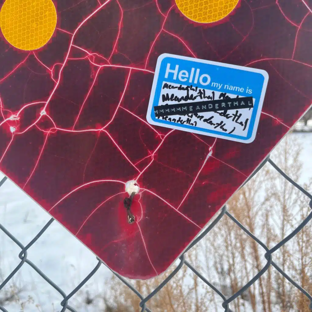 Hello My Name Is