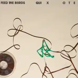 Feed The Biirds