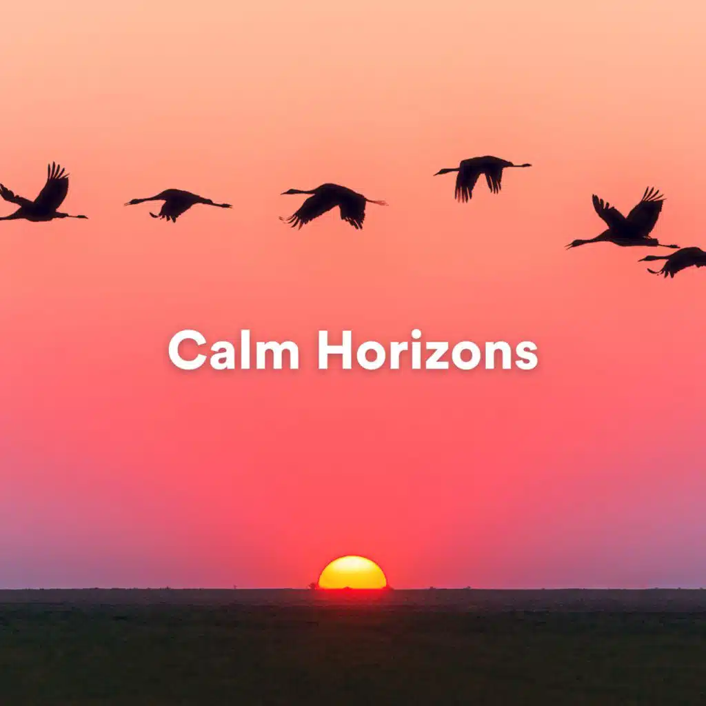 Positive Affirmations Music Zone, Relaxing Music Oasis & Musica Reiki