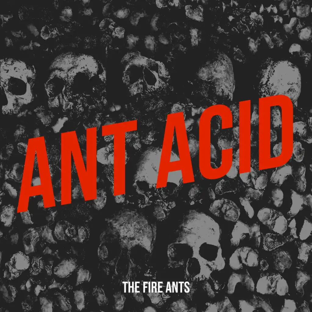 The fire ants