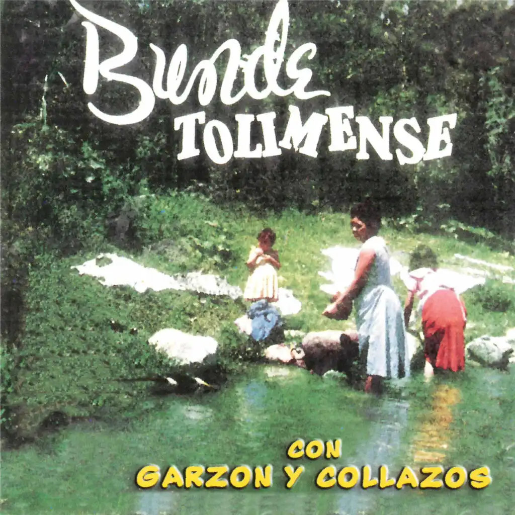 Bunde Tolimense