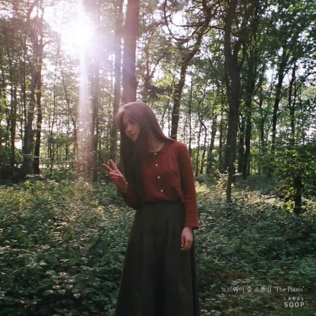 Norwegian Wood 'The Piano'