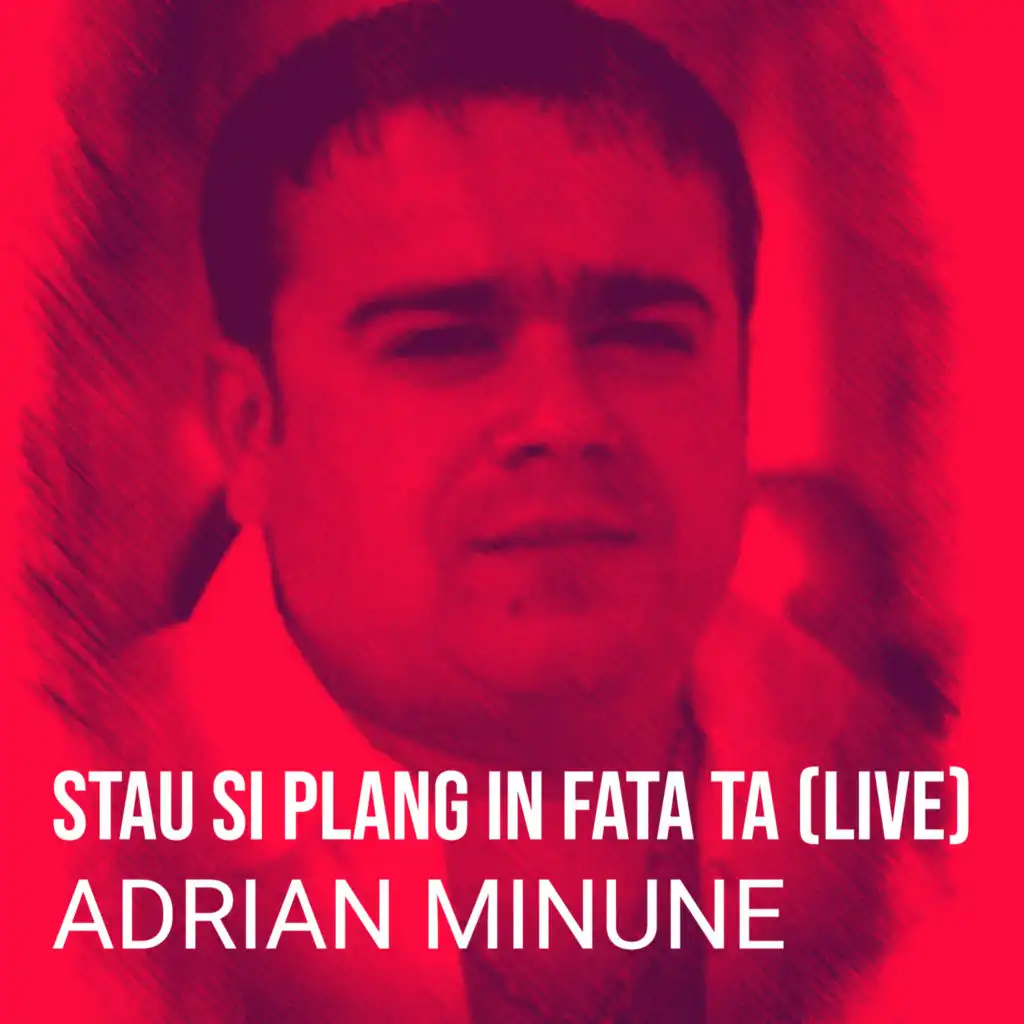 Stau Si Plang in Fata Ta (Live)