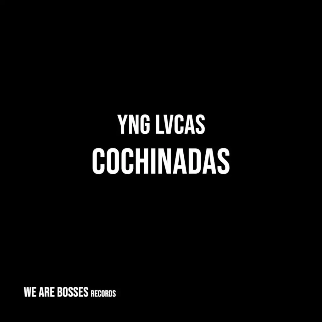 Cochinadas