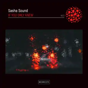Sasha Sound