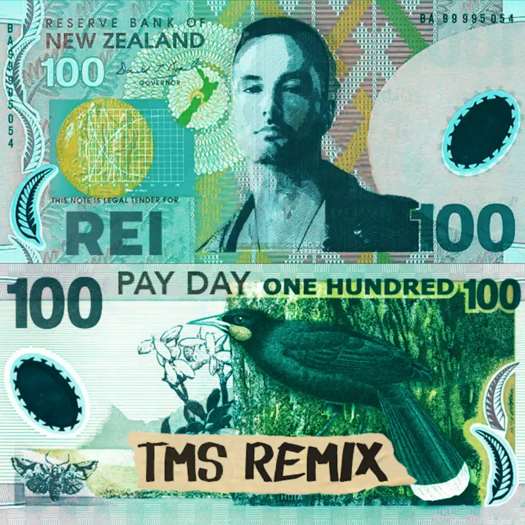 Pay Day (TMS Remix)