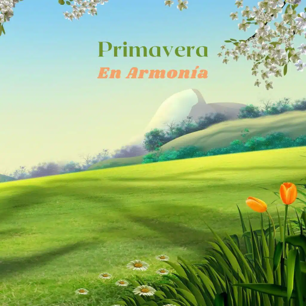 Primavera En Armonía