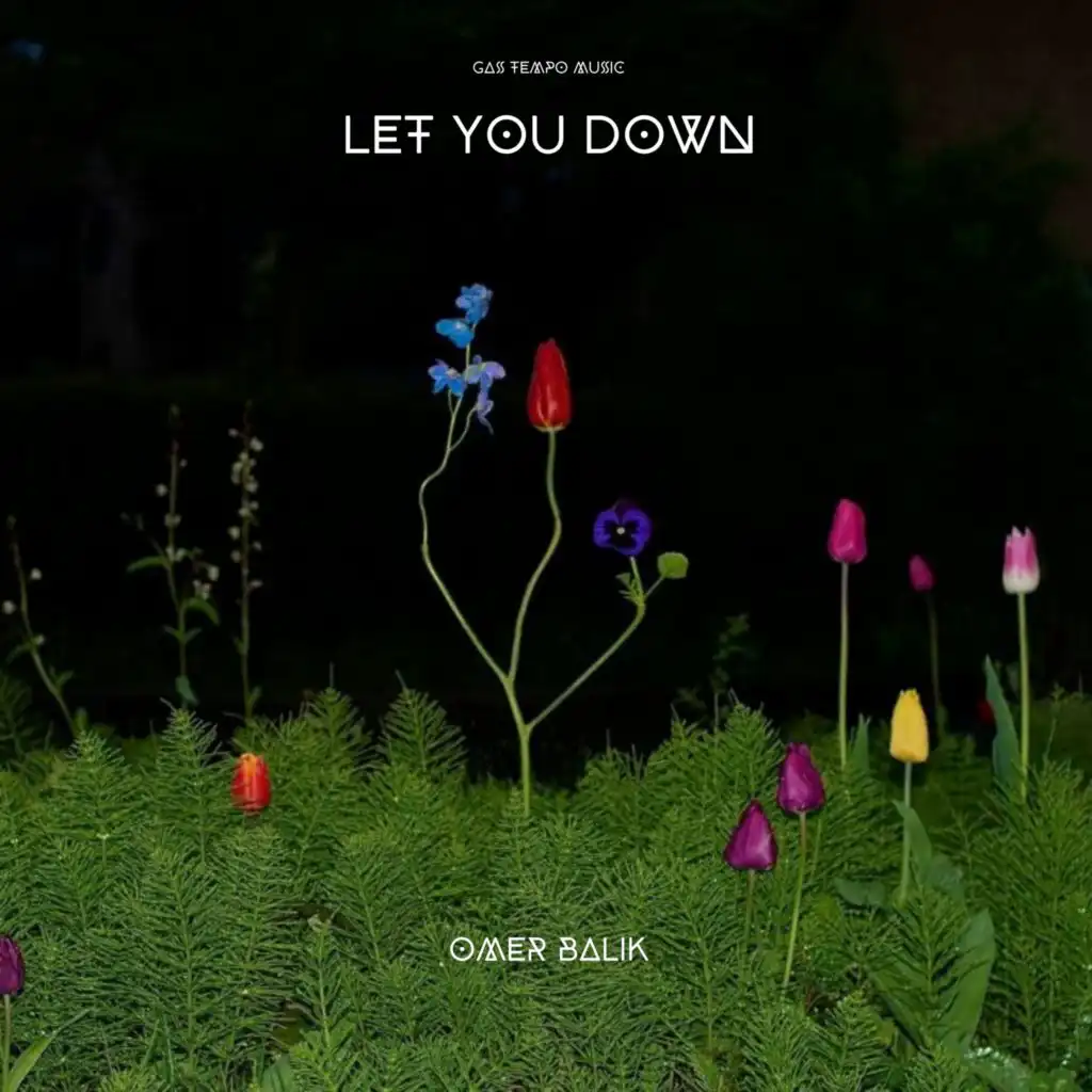 Let You Down