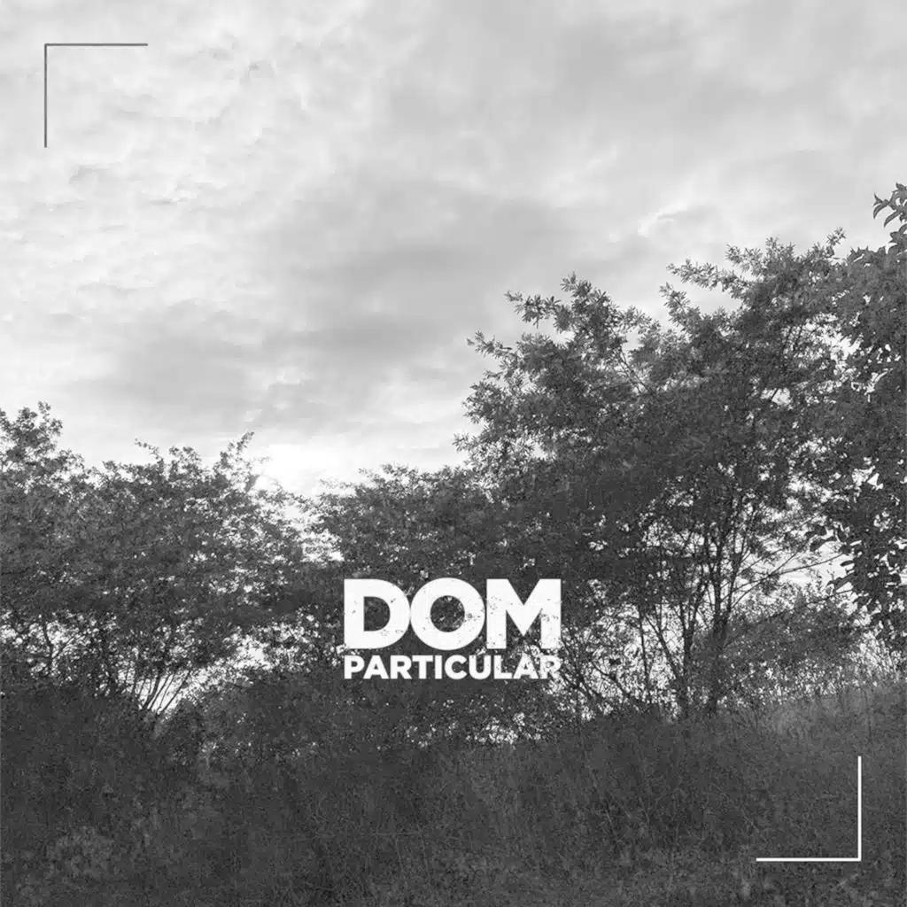 Dom Particular (feat. Cid Augusto)