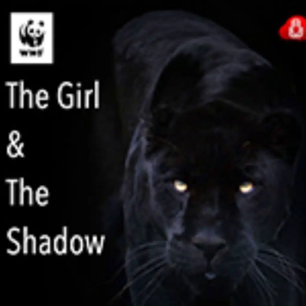 The Girl and The Shadow, Part 2