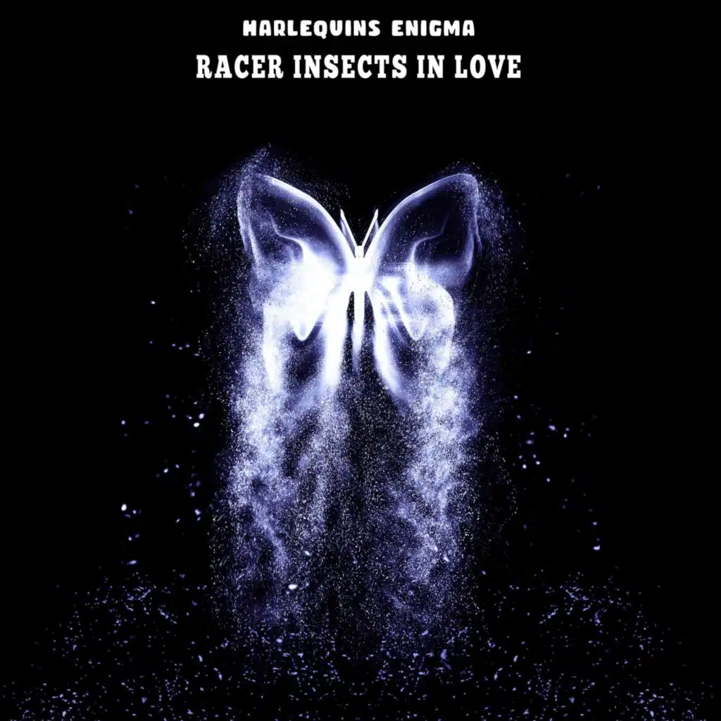 Racer Insects in Love