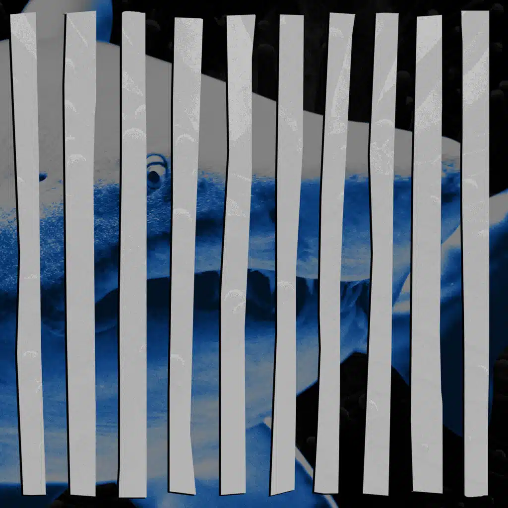 Diar Storm, Lost Boy 1984 & Play Paul