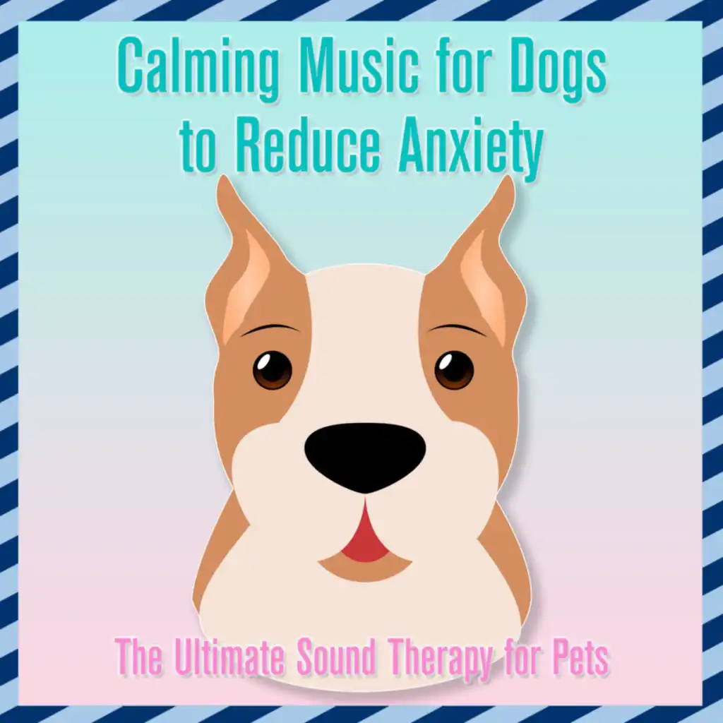 RelaxMyDog, Dog Music Dreams & Pet Music Therapy