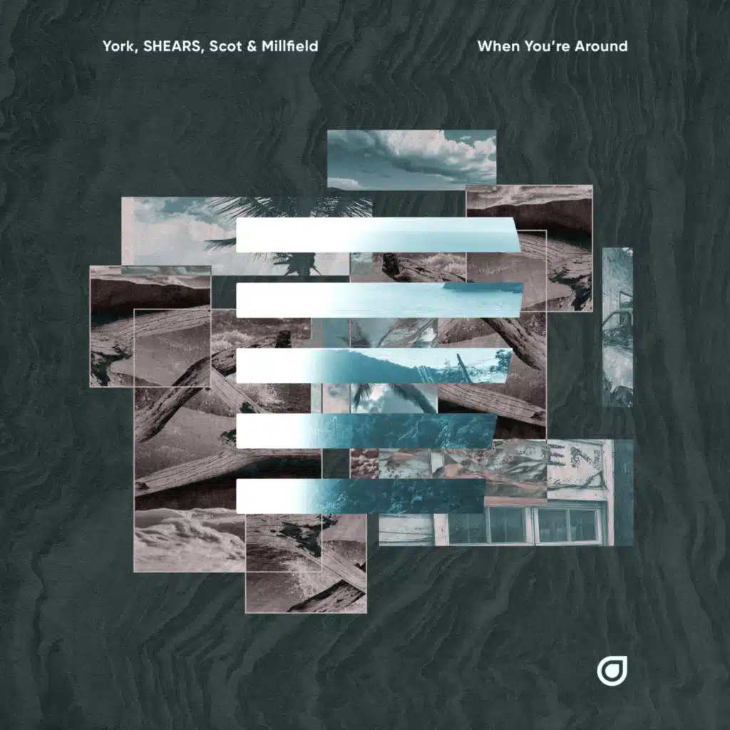 York, SHEARS & Scot & Millfield