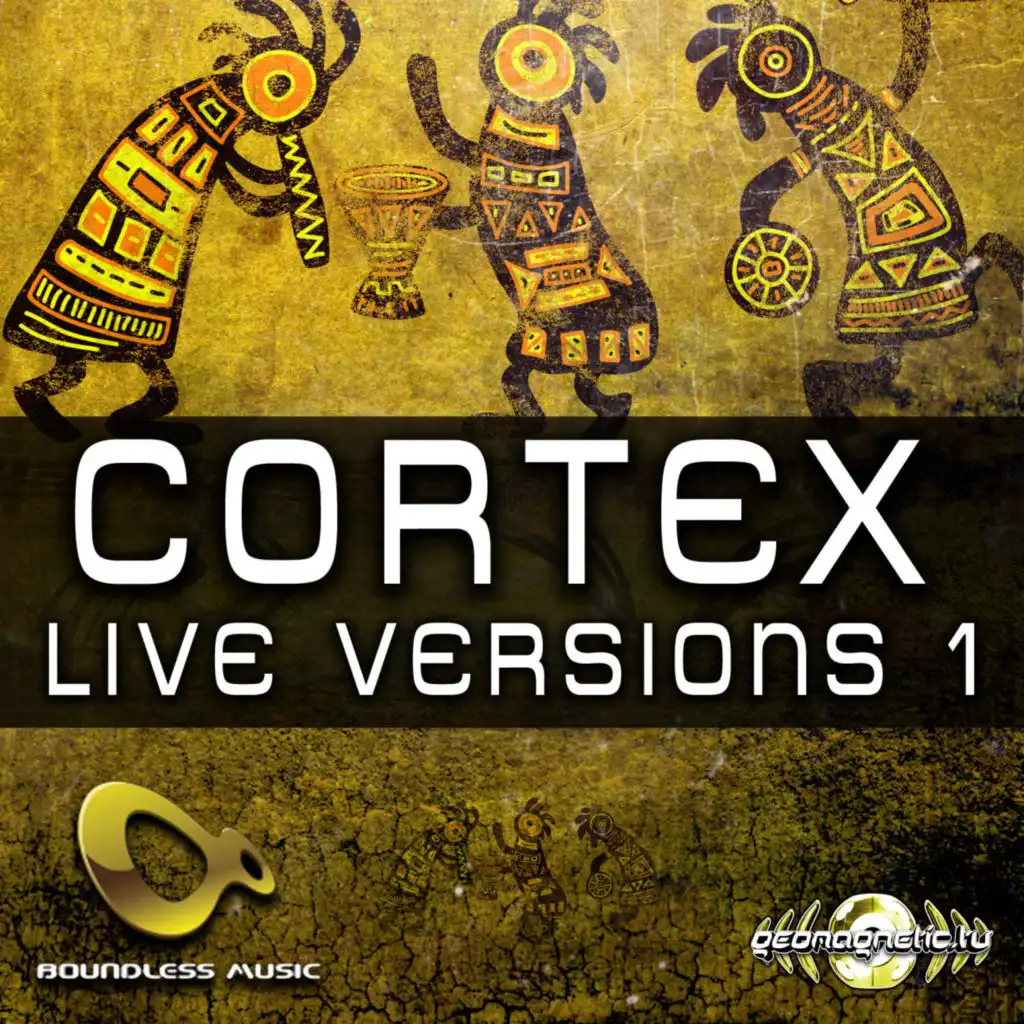 Live Show In Austria 18-1-13 (Live Mix)