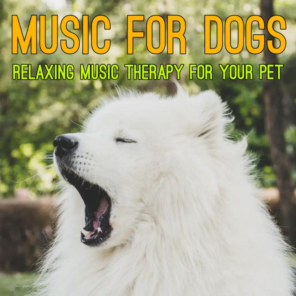 Music for Dogs: Relaxing Music Therapy for Your Pet