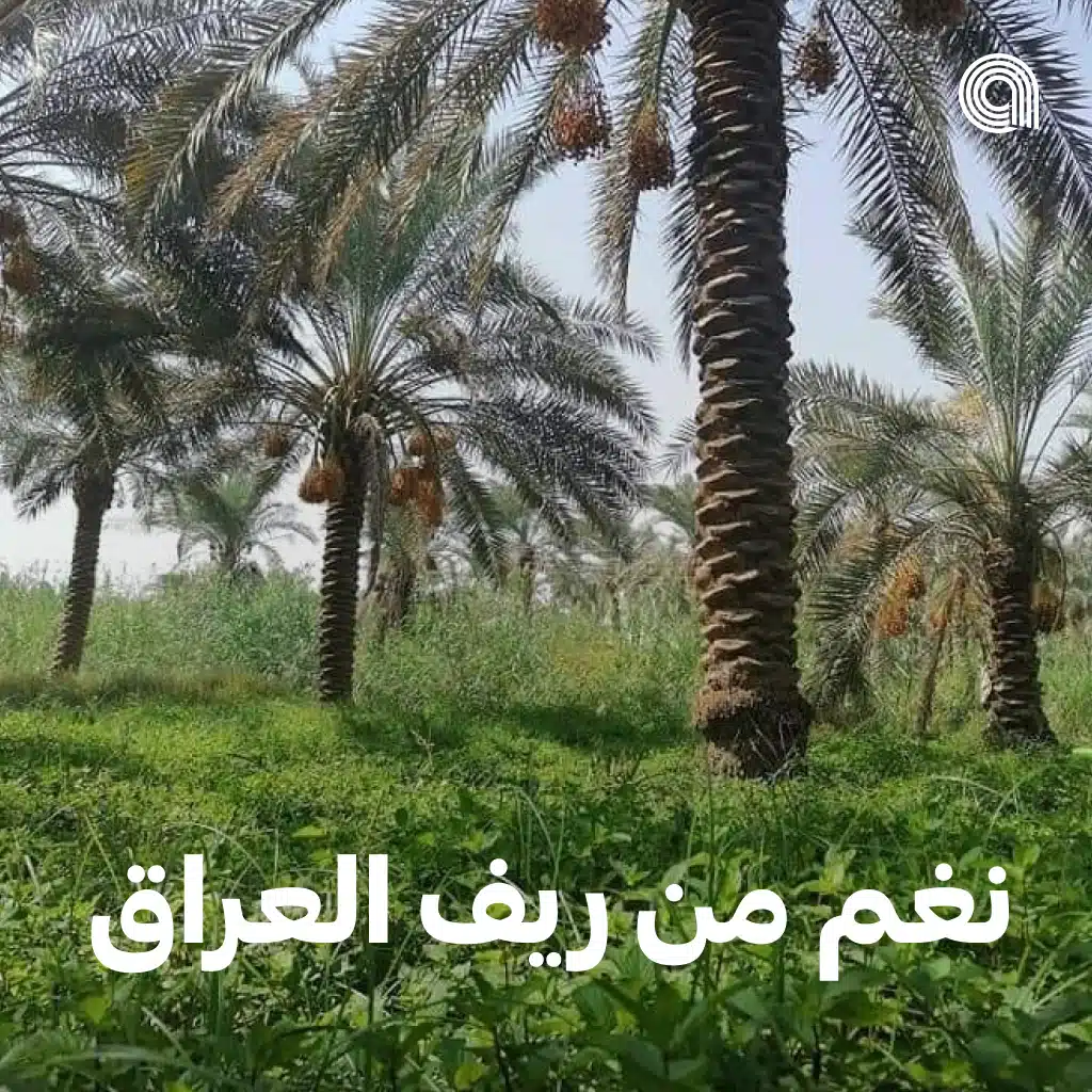 نغم من ريف العراق 