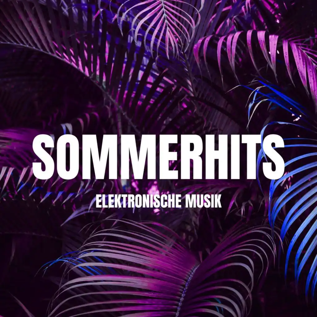 Sommerhits - Elektronische Musik