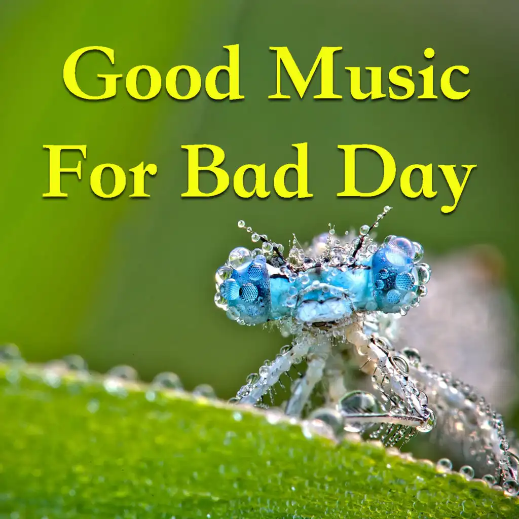 Virginia On A Saturday Night