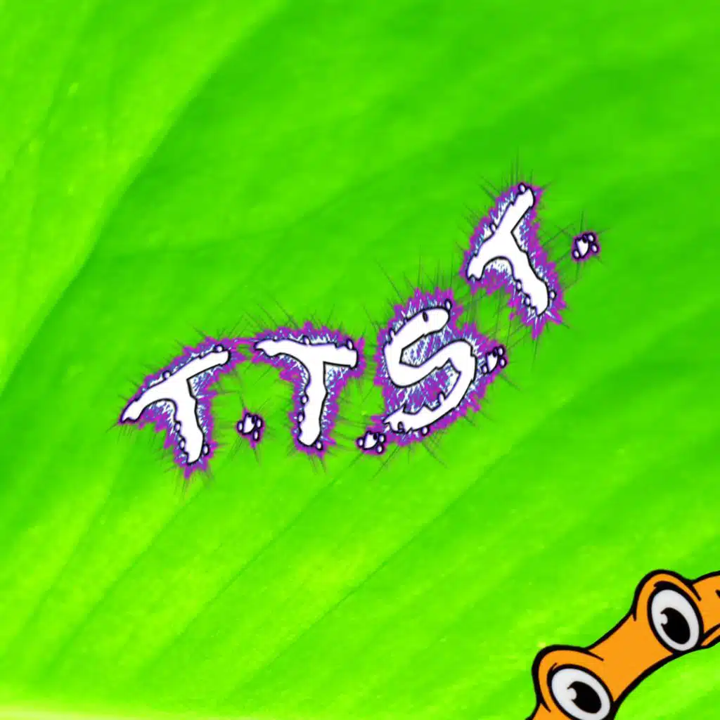 T.T.S.T. (feat. MC ZL)