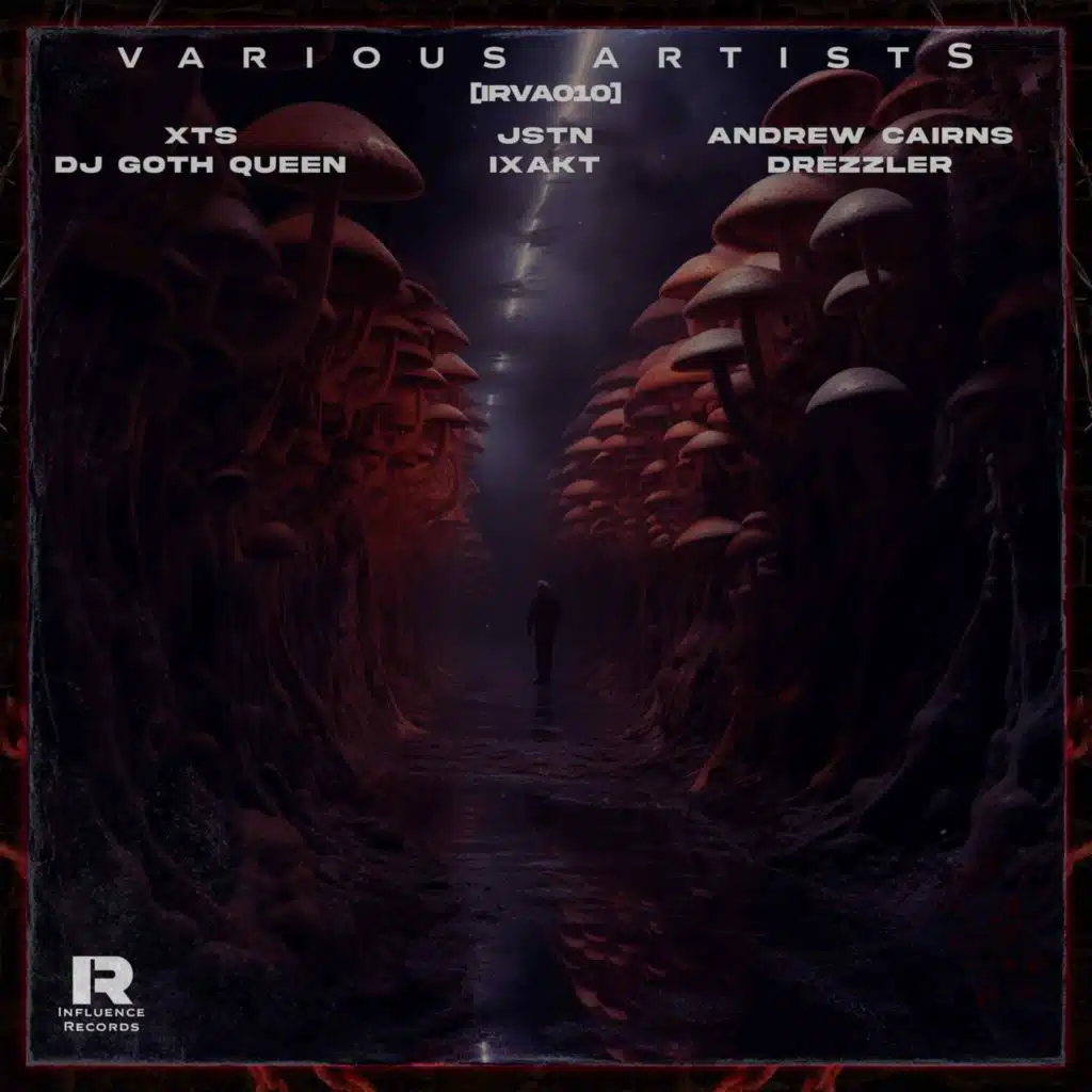 INFLUENCE VARIOUS ARTISTS 010