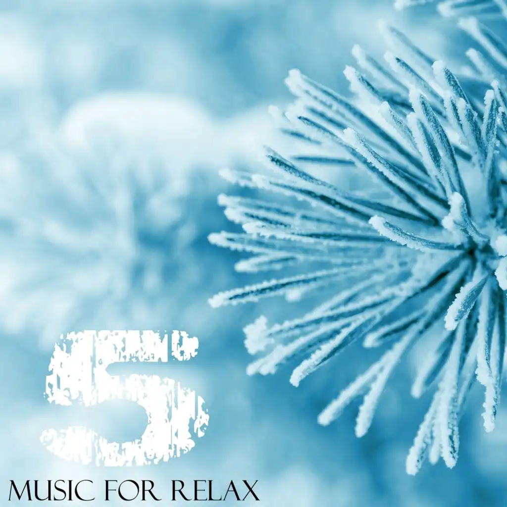 Music for Relax, Vol. 5