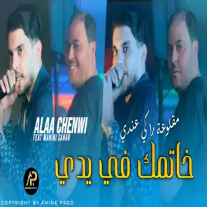 Alaa Chenwi
