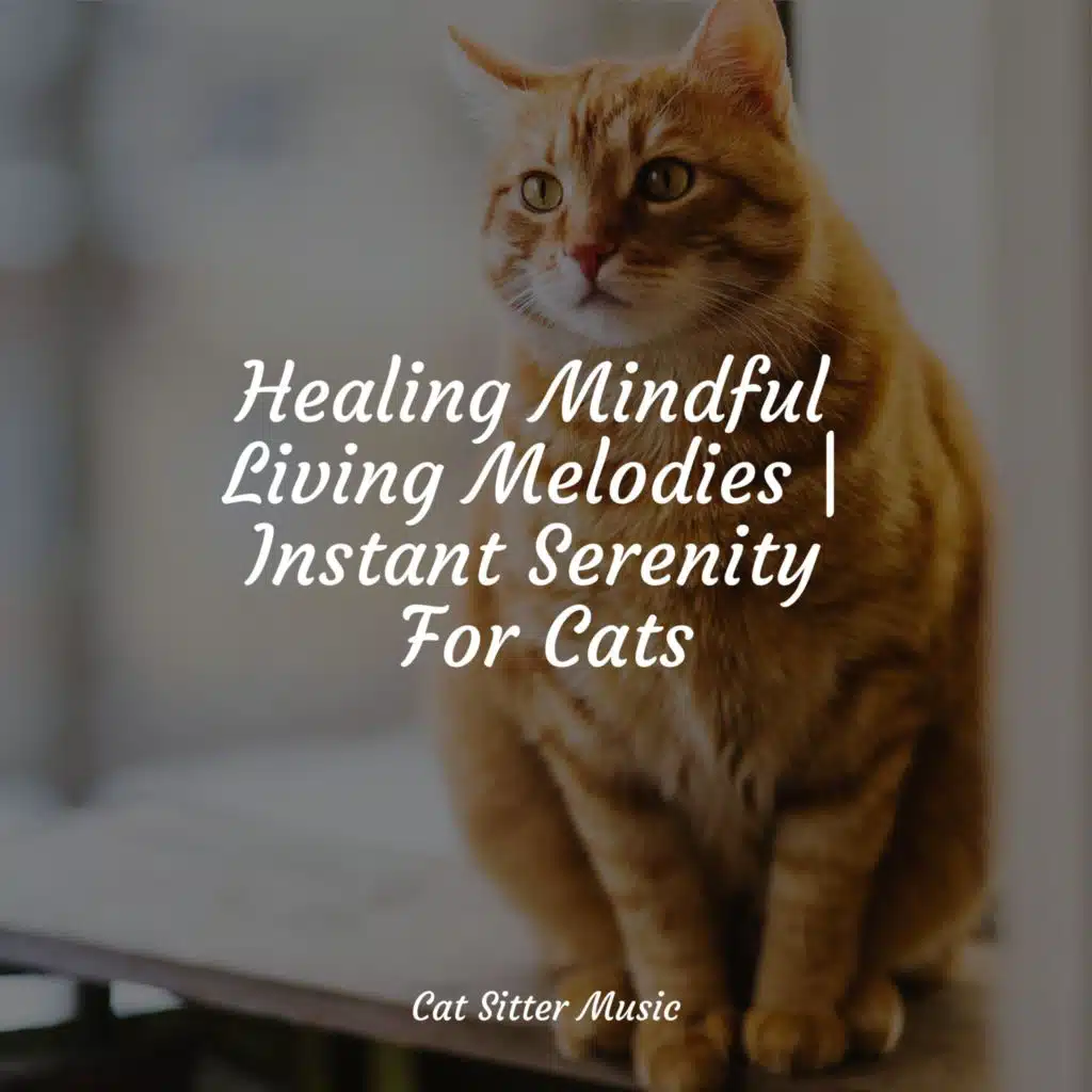 Jazz Music for Cats, Music for Cats Project & Music for Cats Deluxe