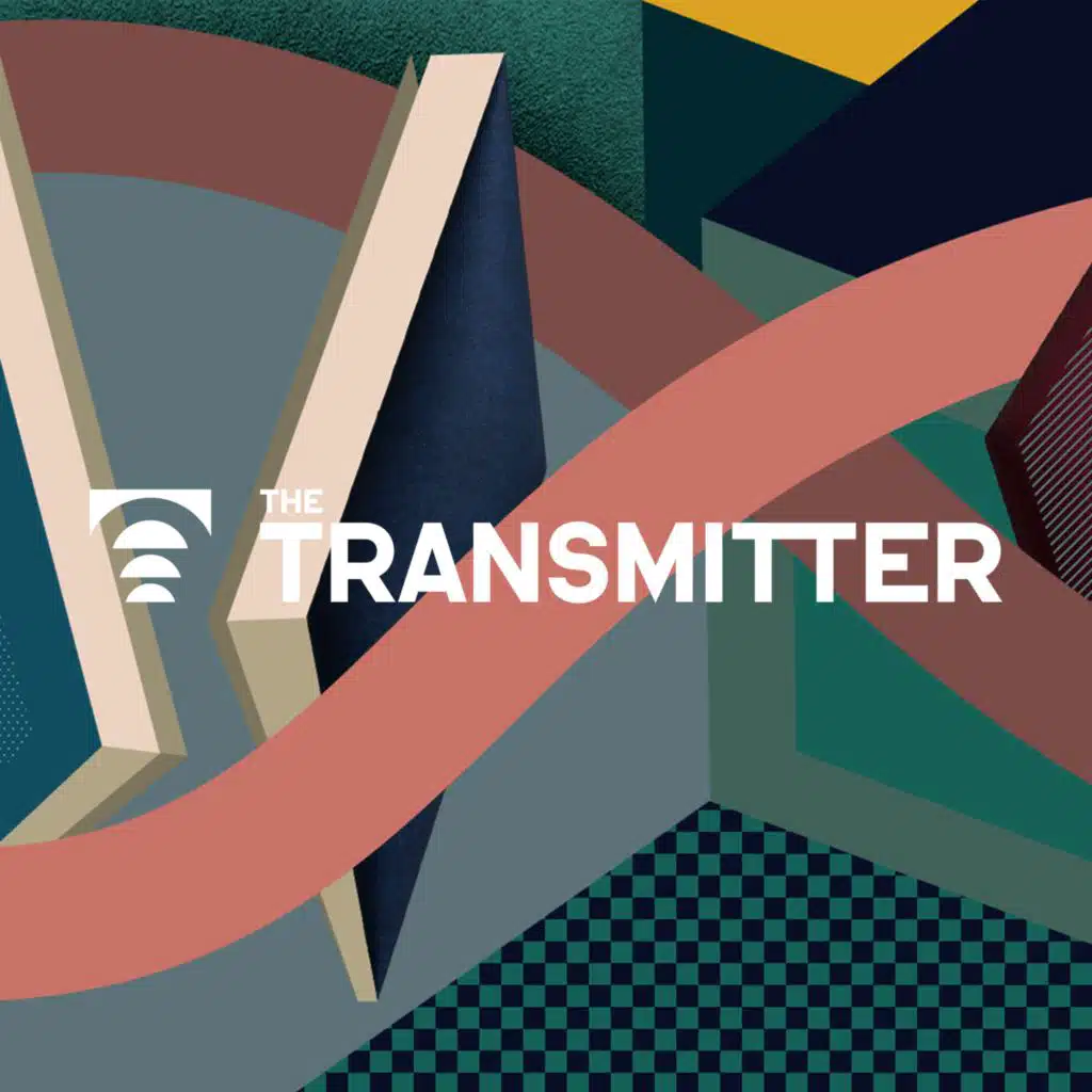 The Transmitter