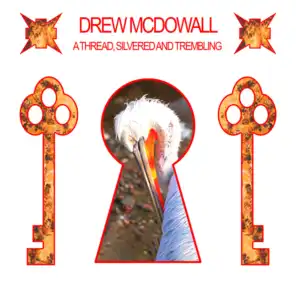 Drew McDowall