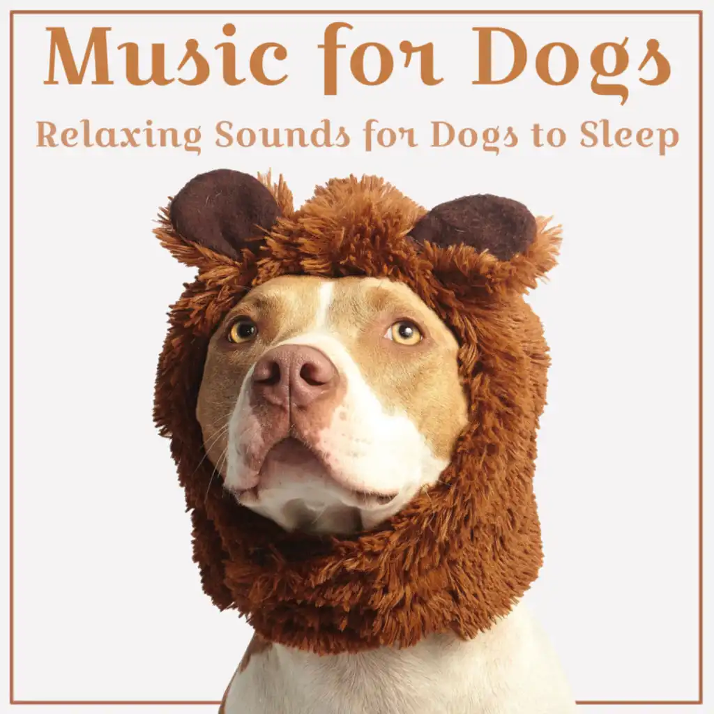 Music for Dogs (Relaxing Sounds for Dogs to Sleep)