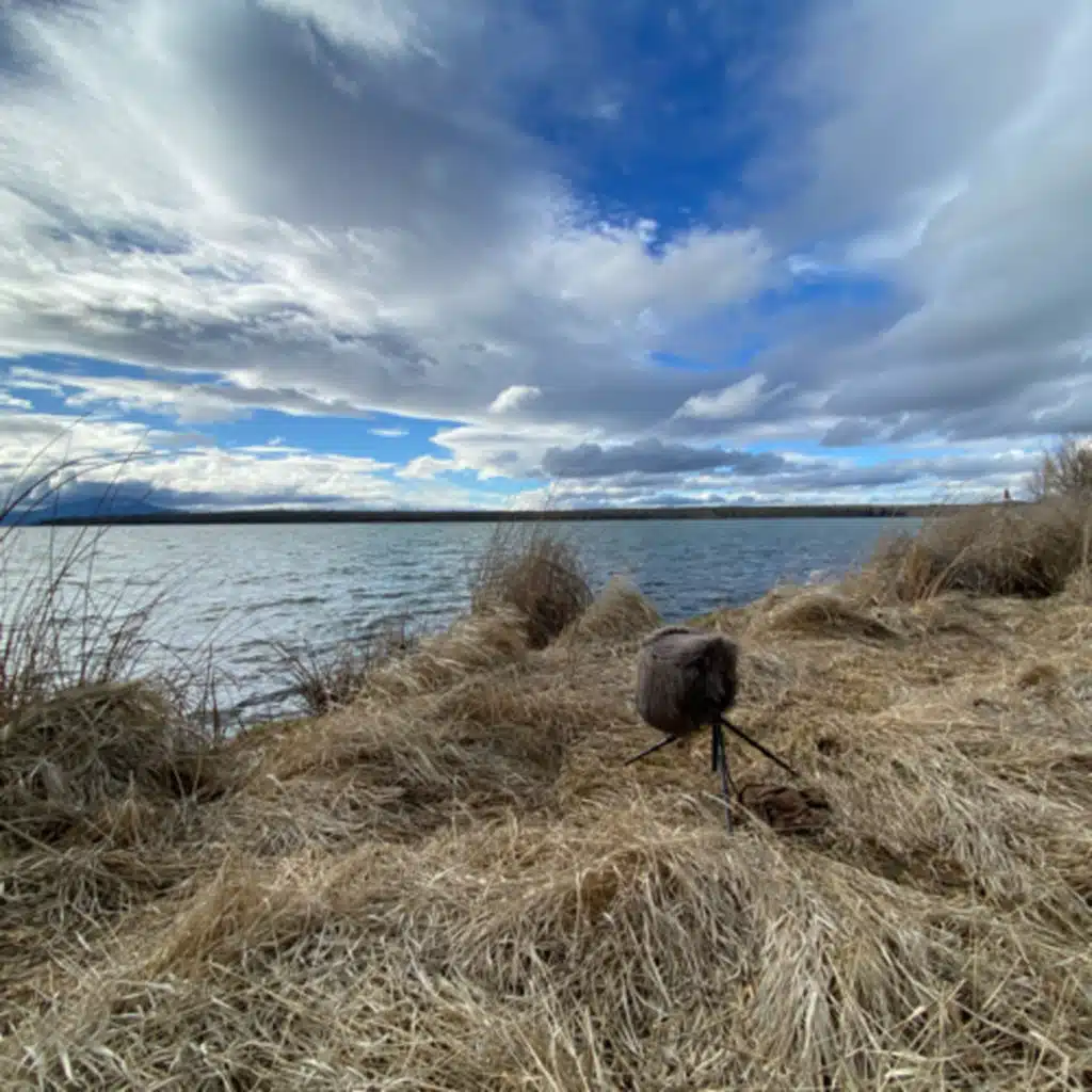 158: Breezy Winter Afternoon Beside Big Lake