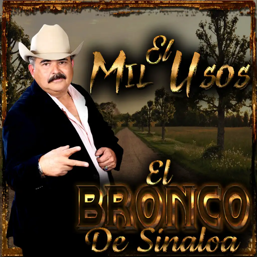 El Bronco De Sinaloa