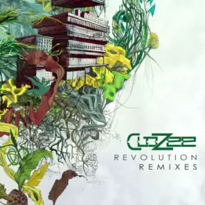 Revolution (Flashball13 & Messkla Remix)
