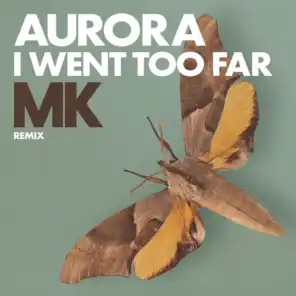 I Went Too Far (MK Remix / Radio Version)
