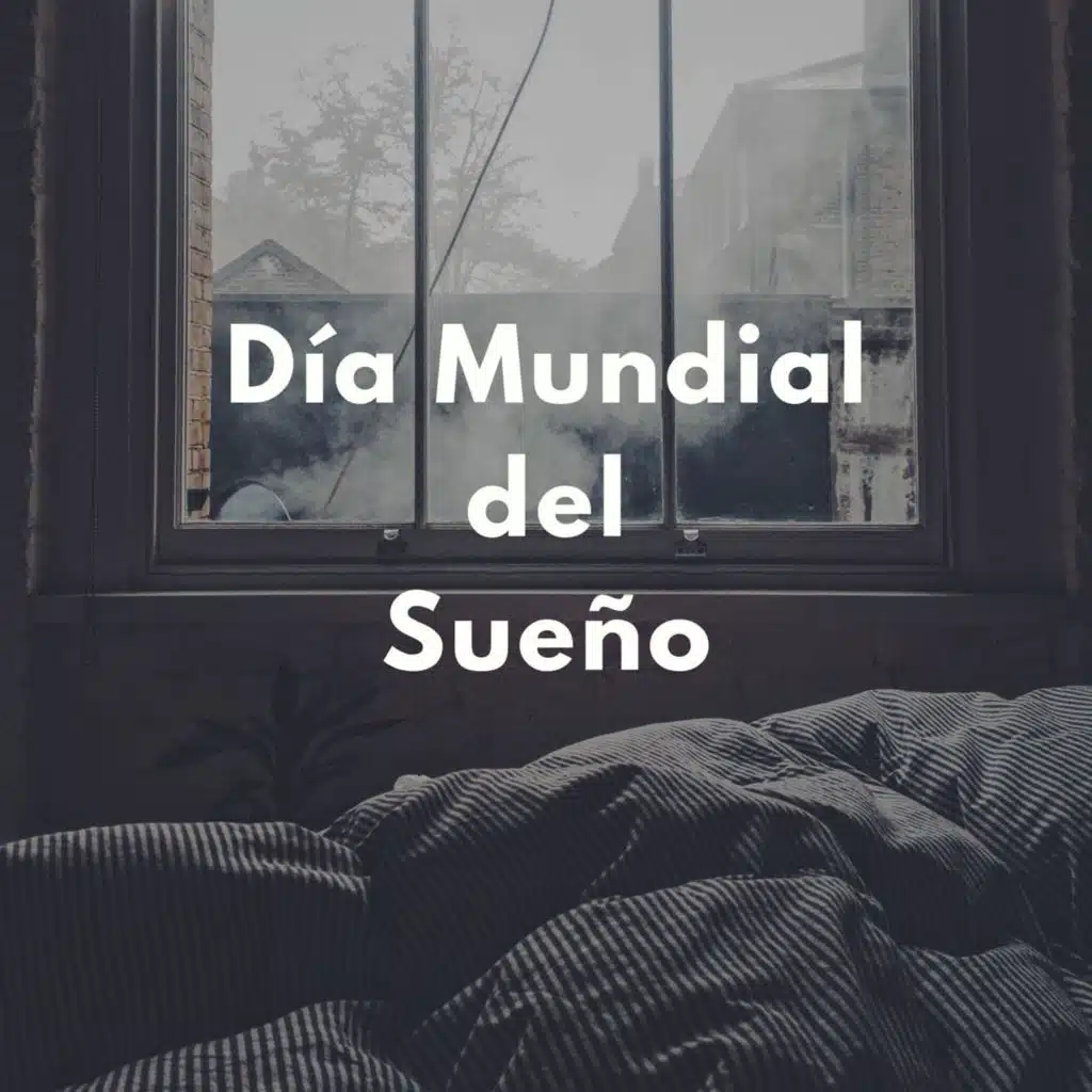 Go Your Own Way (Live at the Fabulous Forum, Inglewood, CA, 08/29/77)